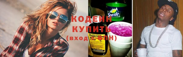 хмурый Богородицк