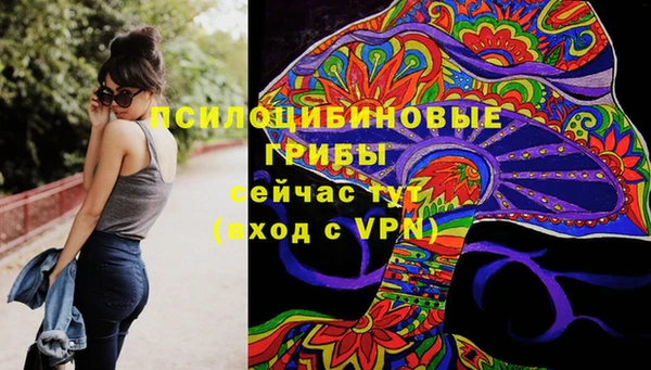 хмурый Богородицк