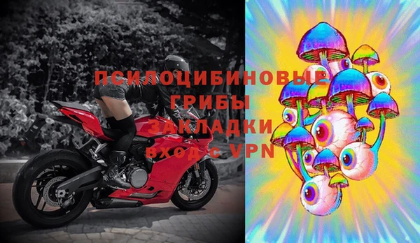 СК Богородск